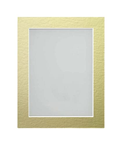 Frame Company Watson Rustic Picture Photo Frame fitted with Perspex, A2 with Gold Mount for image size A3