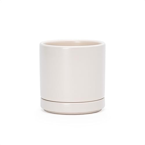 D'vine Dev 3.5 Inch Ceramic Planter Pot, Oatmeal, 94-O-A-8 - Modern Cylinder Design, Drainage Hole & Saucer Included, Stable Structure, Elegant Home Accent