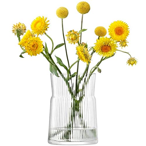 LSA Gio Line Lantern/Vase H18.5cm Clear- 1 Unit - Mouthblown & Handmade Glass - GI30