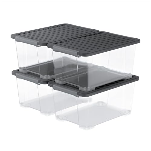 Rotho Core Plus Stackable Storage Boxes with Lids 4 x 44 L Transparent - Clear Storage Boxes with Lids, Transparent Sides Show Contents, Fitted Lids, Integrated Handles, 4-Piece Set for Office