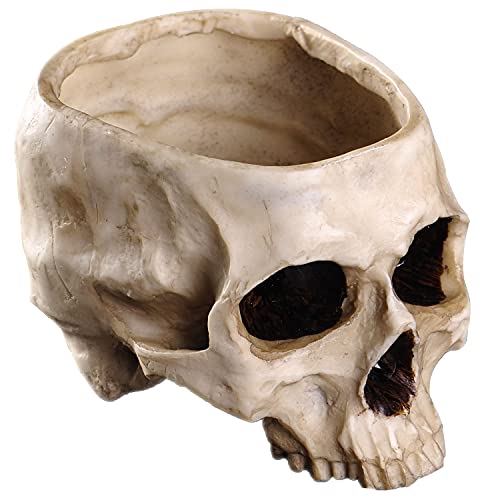 IBWell Modern 9 inch Large Funny Resin Skull Shaped Head Design Flower Pot Planter Container, Decoration Flowerpot Props Home Office Desk Decor