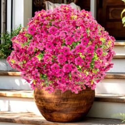 AXYLEX Artificial Flowers for Outdoors Fake Plants - 16 Bundles Faux Outside Boxwood No Fade UV Resistant Plastic Shrubs Spring Home Decor Farmhouse Garden Greenery (RedPink)