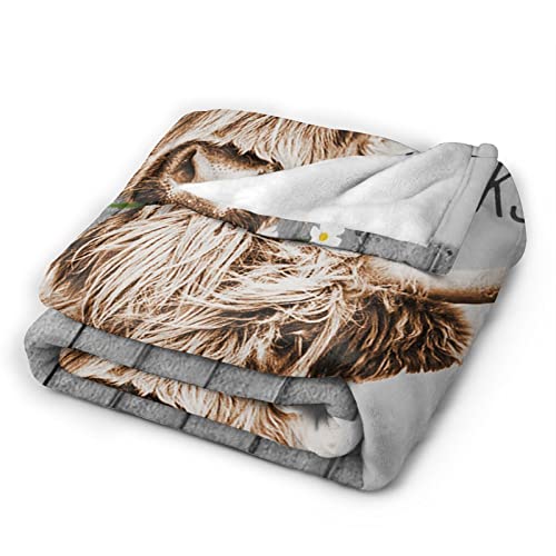 Beynepe Highland Cow Blanket Cute Farmhouse Cow Print Plush Throw Blankets Soft Cozy Fleece Warm Farm Animal Bedding Blanket Gifts for Girls Kids Couch Travel 60''X80''