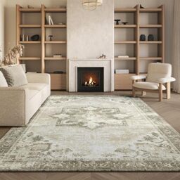 SAFAVIEH Traditional Rug Ideal for High Traffic Areas - Machine Washable and Non Slip - Tucson Collection, Short Pile, in Sage and Ivory, 183 X 183 cm