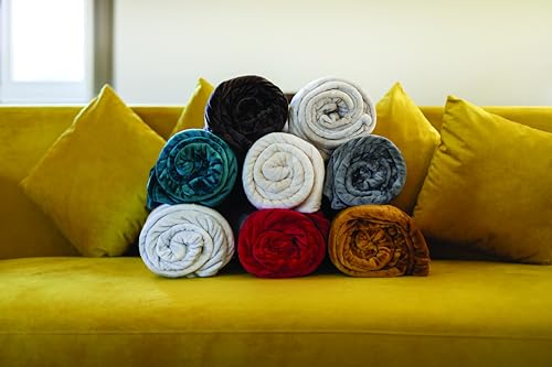 Toison d'or Velvet Microvelvet Polyester Blanket Plain 180 cm x 240 cm Size, Ivory