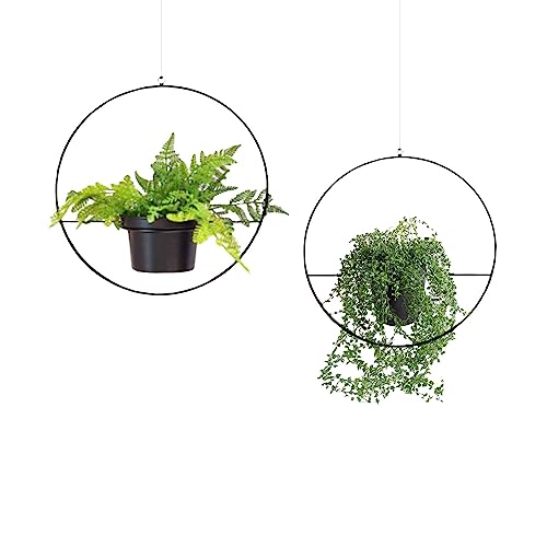 WELL HOME MOBILIARIO & DECORACI??N Black Hoop Planter 30 x 30 x 30