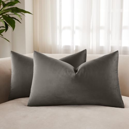 JUSPURBET Decorative Pillow Covers Set of 2 Velvet Throw Pillow Covers for Couch Sofa Bed Soft Lumbar Cushion Covers with Hidden Zipper for Living Room Home Decor,Ash,14x24 inch