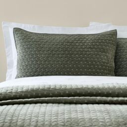 Bianca Attica Velvet Embroidered Pillow sham Pair Green
