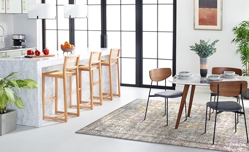 Safavieh Grace Vintage Inspired Rug, Woven Polyester Carpet in Grey / Multi, 243 X 304 cm