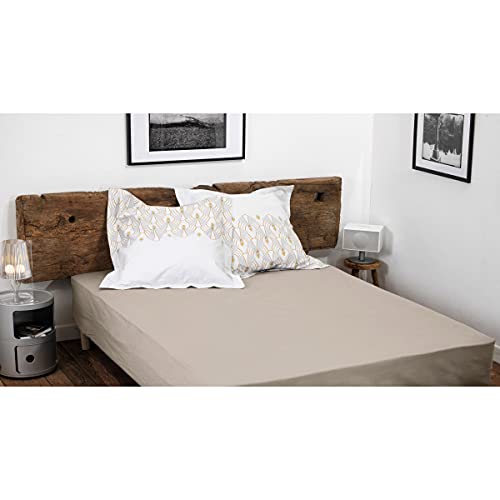 HOME LINGE PASSION, Beige Ivory Fitted Sheet 180 x 200 + 30 cm 100% Cotton 57 Thread Count (Label Oeko-TEX Label)