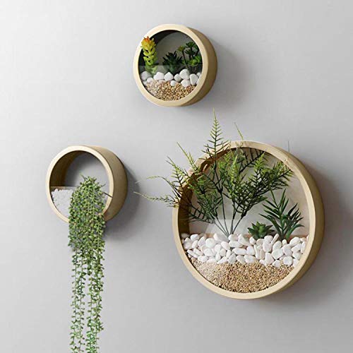 VEVLU 3 Pack Set Wall Planters,Modern Round Glass Wall Planter Succulent Planter Circle Iron Hanging Planter Vase for Herb,Small Cactus Perfect for Balcony, Room and Patio Decor (Gold)