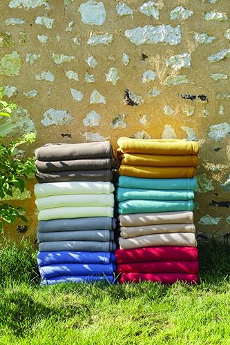 Toison d'or Plain Polyester Teddy Fleece Blanket, 180 cm x 220 cm, Taupe, Twin