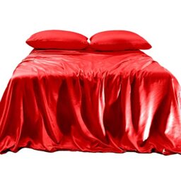 Elegant Comfort Luxurious 4-Piece Silky Satin Sheet Set, Skin and Hair Friendly, Wrinkle, Fade, Stain Resistant with Deep Pockets Fitted Sheet, Cooling Soft Satin Sheet Set, Queen, Red