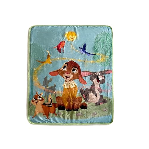 Northwest Disney Wish Silk Touch Sherpa Throw Blanket, 40 x 50 inches, My Friends