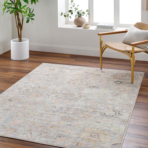 "Livabliss x Our PNW Home Olympic Updated Traditional Area Rug, 5'3"" x 7', Pale Blue"