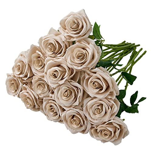 Carlita‘s Blooms 15pcs Fake Roses Artificial Silk Flowers Nude Faux Rose Flower Long Stems Bouquet for Arrangement Wedding Centerpiece Party Home Kitchen Decor (VASE IS NOT INVLUDED)