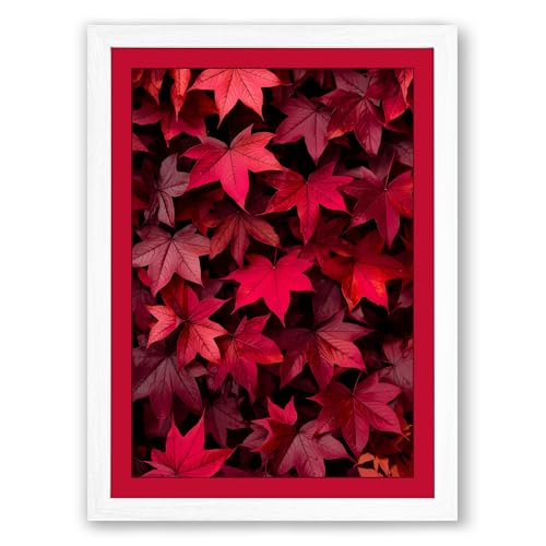 Crimson Canopy Botanical Framed Wall Art Print A2 (59.4×42cm) White, Wall Decor for Living Room, Bedroom, Office & Home, Ready to Hang, Art Gift