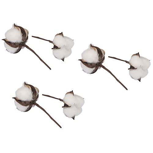Rayher 55808000 Six Cotton Stems with Natural Cotton Flowers for Wreath Making, Crafting and Home Décor, 10cm