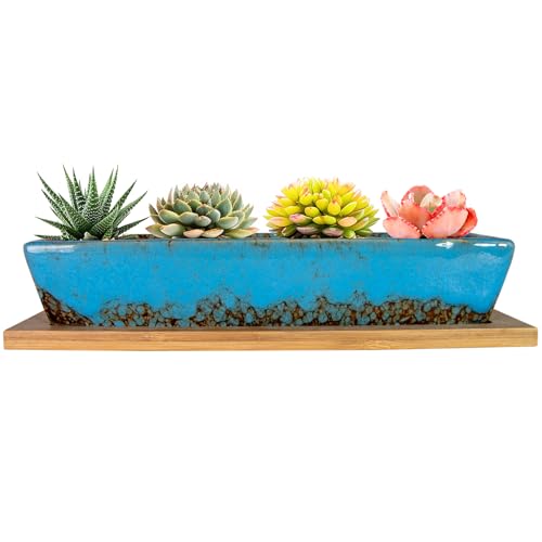 ARTKETTY 25cm Ceramic Succulent Plant Pots, Modern Long Rectangle Flower Plant Containers with Tray, Shallow Cactus Bonsai Window Box with Drainage for Indoor/Outdoor Home Decor(Blue)