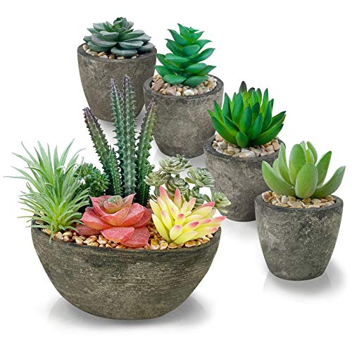 SPEPLA Succulents Plants Artificial Set of 5, Realistic Fake Succulents with Cement Like Pots for Home Office Decoration.