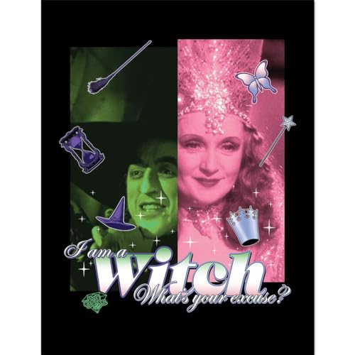 Pyramid International The Wizard Of Oz (I Am A Witch) Collector Print (Framed) 30cm x 40cm, One Size