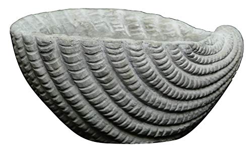 Classic Home and Garden 260025-C151 Sea Shell Succulent Planter, Harbor Gray