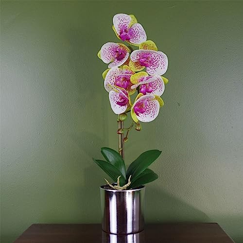 Botanik Realistic Artificial Orchid Plants Fully Potted