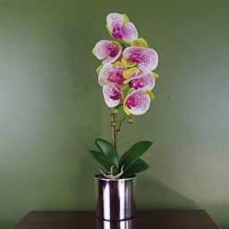 Botanik Realistic Artificial Orchid Plants Fully Potted