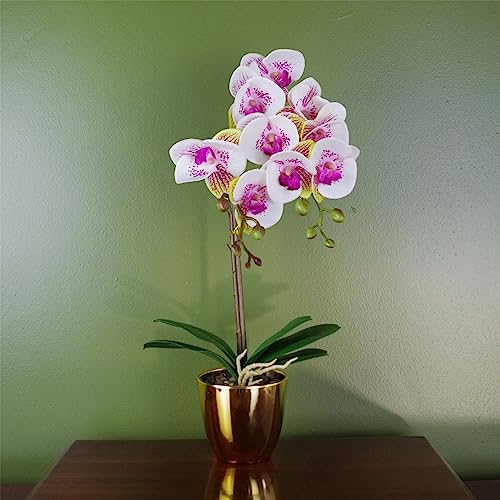 Botanik Realistic Artificial Orchid Plants Fully Potted