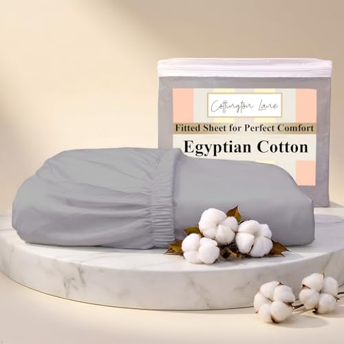 Cottington Lane Egyptian Cotton Twin XL Fitted Sheet Only, Light Grey