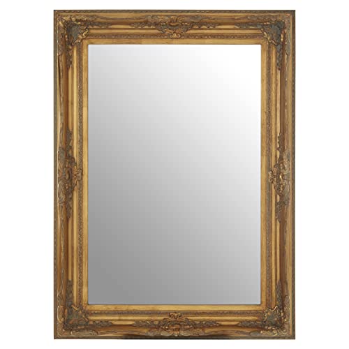 Premier Housewares Wall Mirror/Mirrors For Garden/Bathroom/Living Room With Carving Rectangular Frame/Gold Finish Wall Mounted Mirrors W83 X D8 X H113cm.