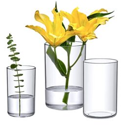 "Amazing Abby - Vase Viola Grande - Acrylic Cylinder Vases (3-Piece Set), Plastic Cylindrical Flower Vases for Wedding Centerpieces, Home Decorations, Office Ornaments, Shatter-Proof, 6"" + 8"" + 9"" (H)"