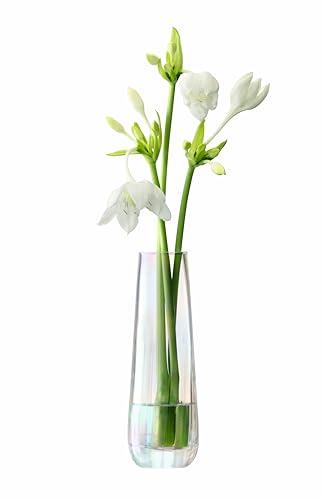 LSA International Pearl Vase H20cm Mother of Pearl- 1 Unit - Mouthblown & Handmade Glass - Hand Painted - PE21