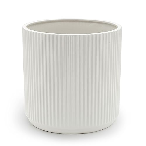 Amazon Basics Fluted Ceramic House Round Planter, 20.3 cm, White