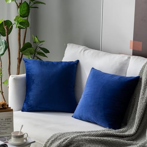 Stellhome Pack of 2 Velvet Pillow Covers Square Big Decorative Cushion Covers for Bed Couch Sofa Bench, 26 x 26 inch (65 x 65 cm), Royal Blue