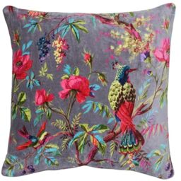 Paoletti Paradise Square Cushion Cover - Mink Colourful Bird Print Velvet Feel Cotton Fabric (50 x 50 cm, Pack of 1)