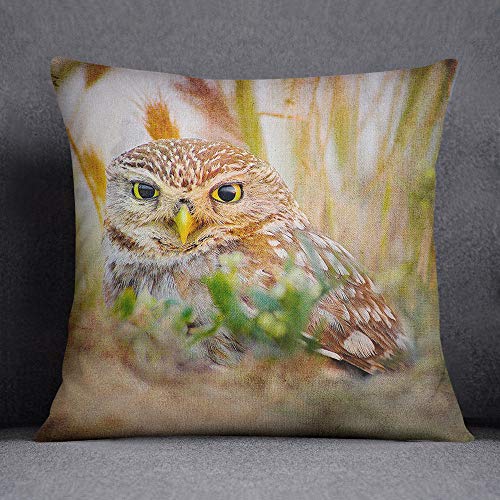 Bonamaison Decorative Cushion Cover, Cotton Polyester, Multicolor, 45X45