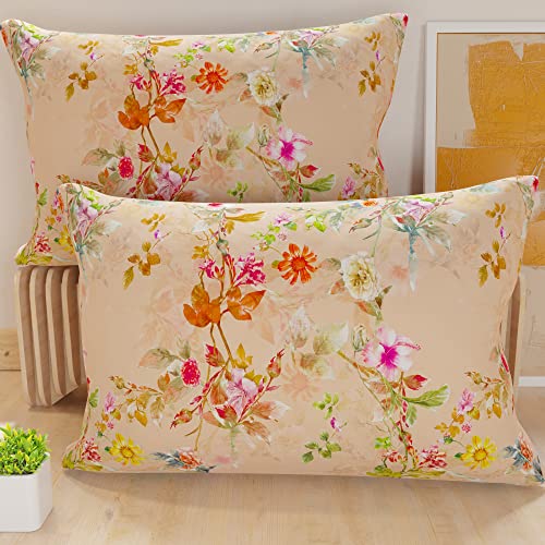 PETTI Artigiani Italiani - Bed Pillowcases, Set of 2 Pillow Covers 50x80 cm, Cushion Cover in Hypoallergenic Microfibre, Made in Italy, Spring Cipria Pattern