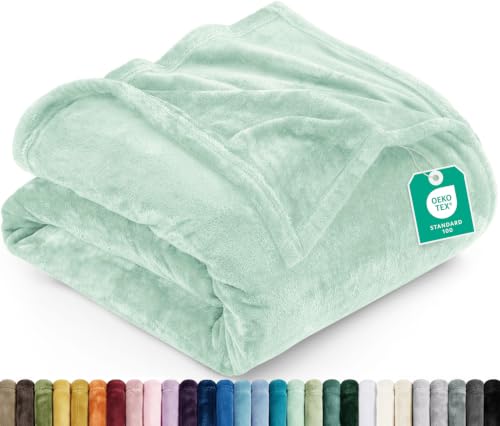 Utopia Bedding Fleece Blanket Queen Size Mint Green (90x90 Inches) Ultra Soft Warm Lightweight Microfiber Breathable Anti-Static Cozy Bed Blanket, All-Season Home Decor Gift for Men & Women