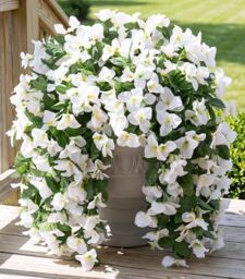 Artificial Faux Bougainvillea Flowers Plants for Outdoor Outside Summer Decoration, 2 PCS Fake Silk UV Resistant Look Real Long Trailing Vines for Front Door Porch Planter Urn Patio Balcony, White