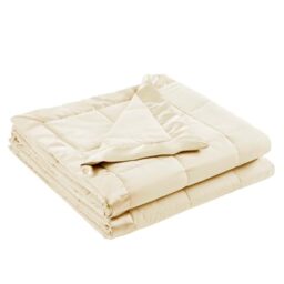Madison Park Windom Down Alternative Blanket, Premium 3M Scotchgard Stain Release Treatment, All Season Lightweight and Soft Cover For Bed, Satin Trim, Cream Full/Queen