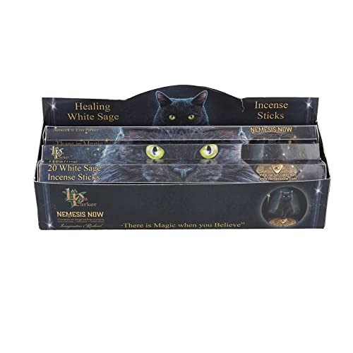 Nemesis Now Lisa Parker Healing Incense Sticks White Sage, Black, Black Cat Design, Box of 6 Tubes x 20 Incense Sticks