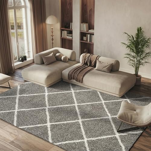 Safavieh Shaggy Indoor Woven Rectangle Area Rug, Hudson Shag Collection, SGH281, in Grey/Ivory, 244 x 305 cm for Living Room, Bedroom or Any Indoor Space