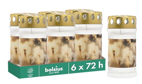 Bolsius Grave Light with Dandelion Motif, Set of 6, Length Burning Time 3 Days, Funeral Candle & Memorial Candles, Clean Burning, Palm Oil Free, White