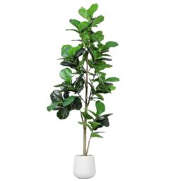 Artificial Fiddle Leaf Tree, 213CM Faux Plant Fake Ficus Lyrata Trees with White Planter, Artificial Fig Trees Floor Plants for House Office Living Room Indoor Home Decor, Housewarming Gift