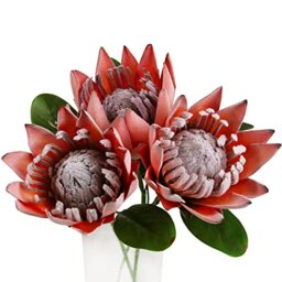 Tinsow Artificial Protea Cynaroides for Flower Arrangements, Faux Protea for Table Decoration Centerpieces, 3 Pieces Silk Bouquet for Wedding (3, Orange)