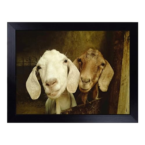 Lap Tray with Bean Bag Cushion, Pair Of Goats - Handmade in the UK, Raised Wooden Edge, Padded Cushion, Heat-Resistant Wipe-Clean Surface, for Meals, Laptops and Crafts