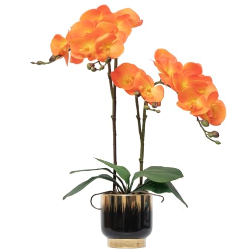 "CXGS Orchids Artificial Flowers Real Touch Fake Flowers in Ceramic Pot 20"" Orange Faux Orchid Plant Lifelike Silk Phalaenopsis for Centerpiece Hotel Home Indoor Decor"
