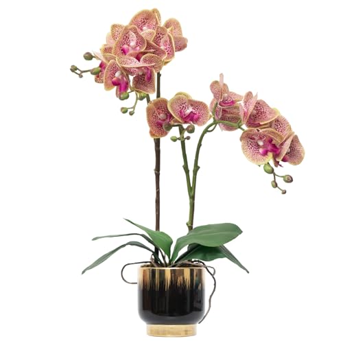"CXGS Orchids Artificial Flowers Real Touch Fake Flowers in Ceramic Pot 20"" Purple Dapple Faux Orchid Plant Lifelike Silk Phalaenopsis for Centerpiece Hotel Home Indoor Decor"