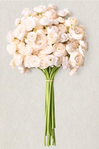 Waipfaru Ranunculus Artificial Flowers, 18Pcs 14In Fake Peonies Artificial Flowers, Faux Flower for Vase Silk Flower Real Touch Faux Peony Bulk for DIY Wedding Bouquet Home Bridal Shower Decor